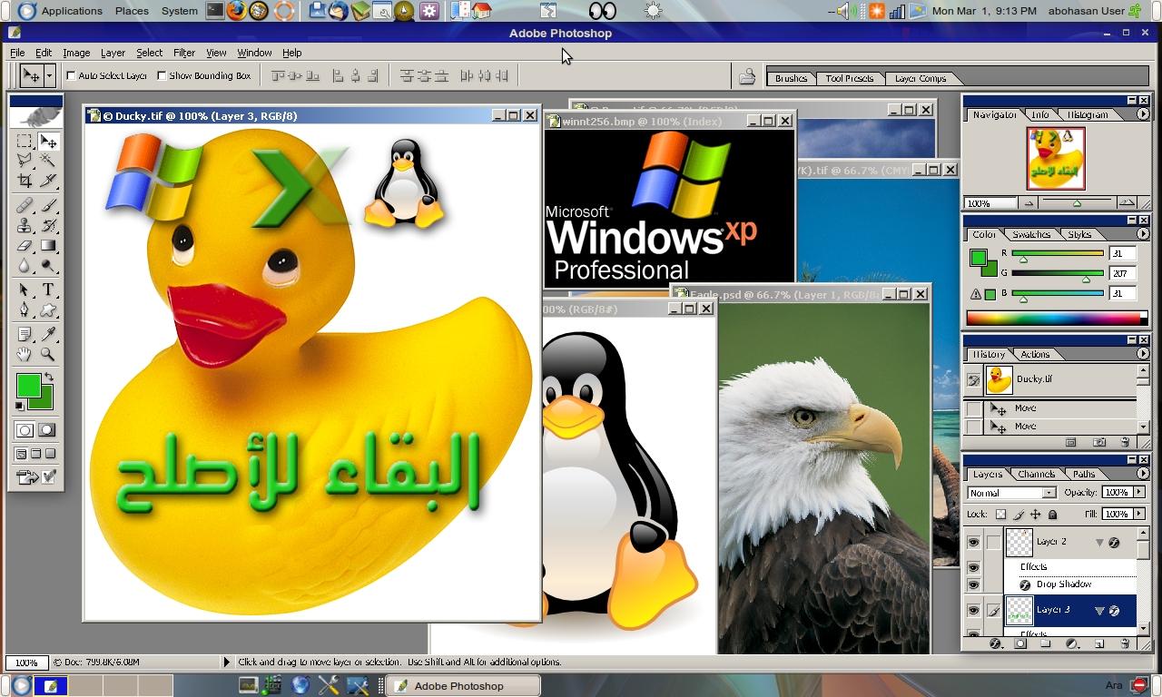 الفوتوشوب في لينوكس